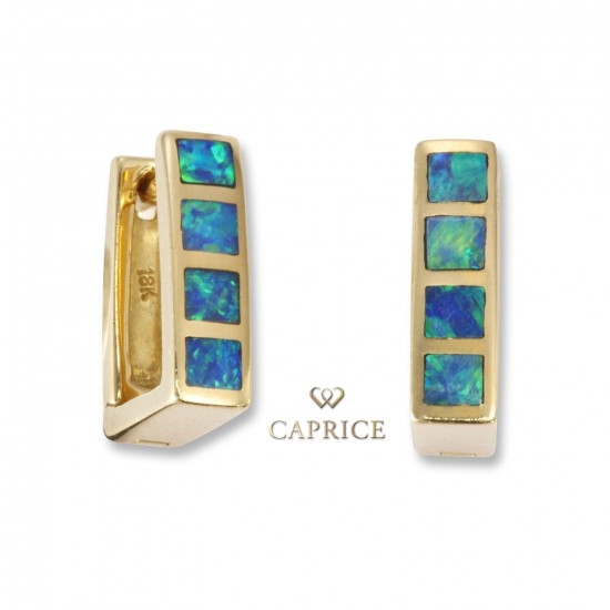Woman gold earrings